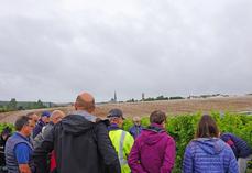 Jeudi 4 septembre, tour de vignes en Île-de-France.