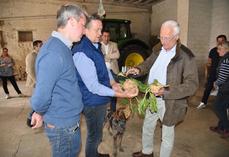 L'hôte du jour, Gauthier Charle, et le secrétaire général de la FDSEA 77, Pascal Verrièle, présentent deux betteraves, dont une atteinte de jaunisse, au préfet.  