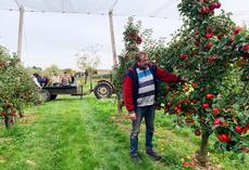 Les Vergers d’Ableiges, à Ableiges (Val-d’Oise). Petite balade dans une remorque tirée par un tracteur au milieu des vergers de la famille Barrois, arboriculteurs depuis plus de trente ans.