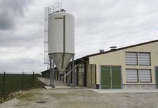 En cas de détection de salmonelles, l'éleveur est indemnisé uniquement s'il a signé et appliqué la charte de bonnes pratiques en élevage. 