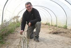 Denis Billault, producteur d'asperges vertes à Ouchamps, revient sur la saison qui a commencé près de deux semaines en avance par rapport à l'année dernière. 