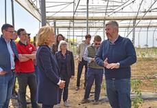 Vulaines-lès-Provins, vendredi 17 avril. Brice De Bisschop termine la visite de son exploitation par les serres, une diversification datant de 2022.