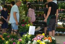 Chailly-en-Brie, samedi 23 mai. Le marché aux fleurs est l'un des marqueurs de Festi'Breto. 