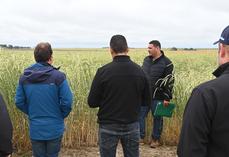 Mardi 2 juin, à Marchenoir. Lors d'une réunion technique organisée par Semae, Camille Dufoix, technicien chez Cérience, est revenu sur les qualités agronomiques et économiques des cultures semencières.