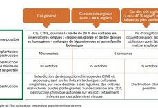 Intercultures longues : modalités d'implantation et de destruction des couverts végétaux.
