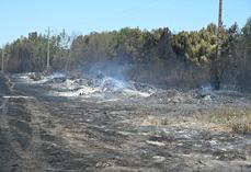 Le sud du Loir-et-Cher a été touché par de violents incendies mardi 7 juillet, notamment à Châtillon-sur-Cher, Fresnes et Chémery. Les feux ont été maîtrisés dès le lendemain, malgré la présence de quelques foyers résiduels.