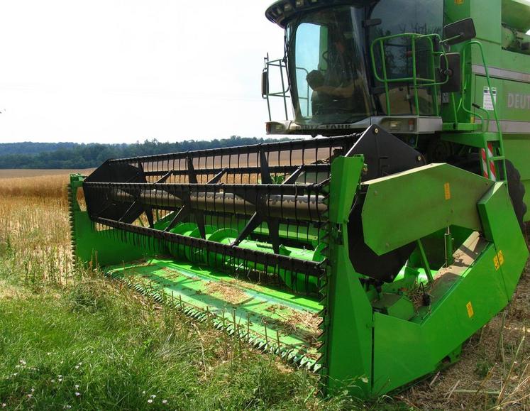 Une coupe à colza en pleine action. (Photo d’archives)
