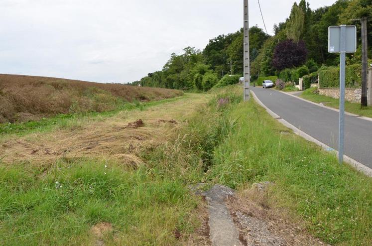 A Vauhallan (Essonne), le 3 juillet. Un projet de sentier piéton pourrait faire disparaitre la bande enherbée créé par Nathalie Trubuil le long du ru, grignotant encore davantage les terres agricoles du plateau.
