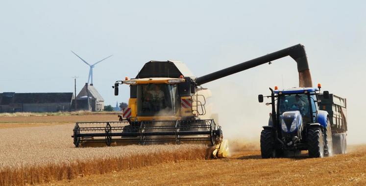 Le changement de classification des blés tendres entre dans le plan protéines de la filière.