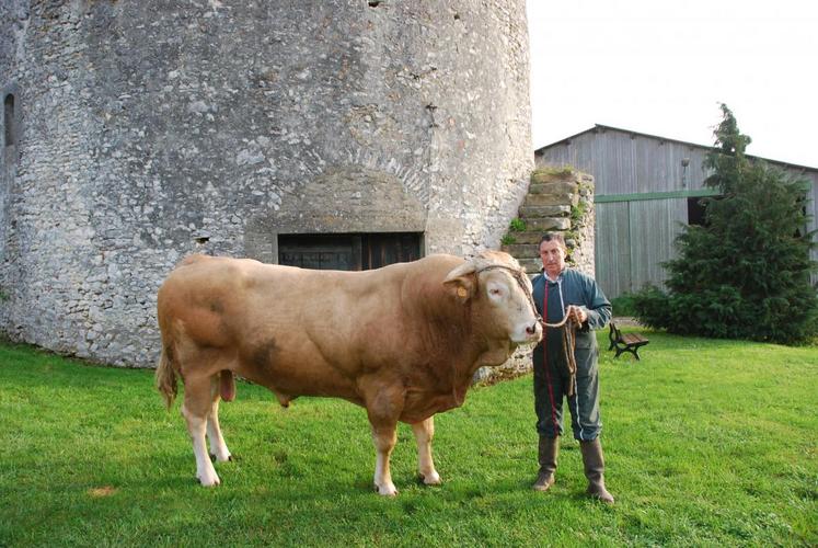 Échouboulains, mardi 21 octobre. Philippe Dufour pose avec un taureau qui fait sa fierté : Expert, né sur l’exploitation et pré-selectionné pour le concours général agricole. Sa passion pour la sélection, l’éleveur la fait partager aux visiteurs.