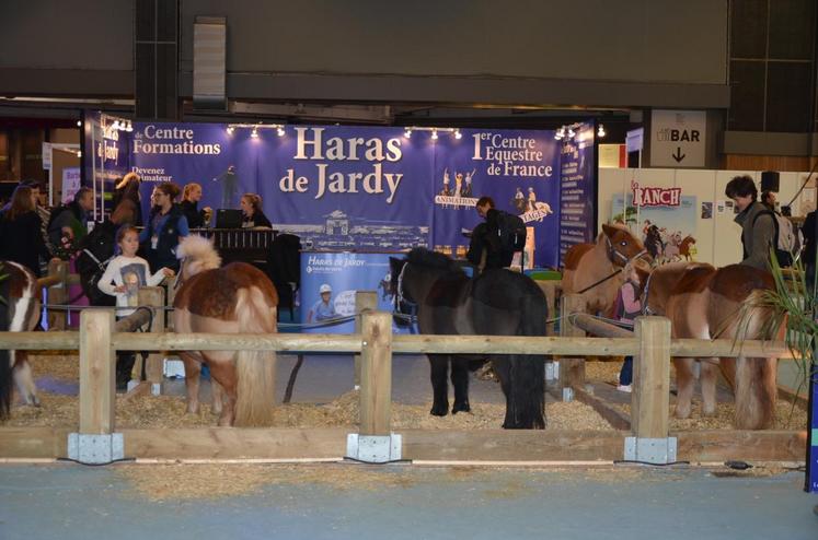 Parmi les représentants de la filière équine francilienne, le Haras de Jardy. La structure des Hauts-de-Seine est le premier centre équestre de France et forme chaque année de nombreux professionnels du monde du cheval. 
