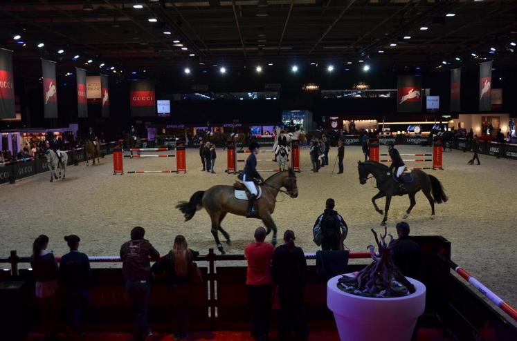 Villepinte (Seine-Saint-Denis), le 6 décembre. Le Salon du cheval a accueilli de nombreuses compétitions. Un spectacle toujours très apprécié du public.