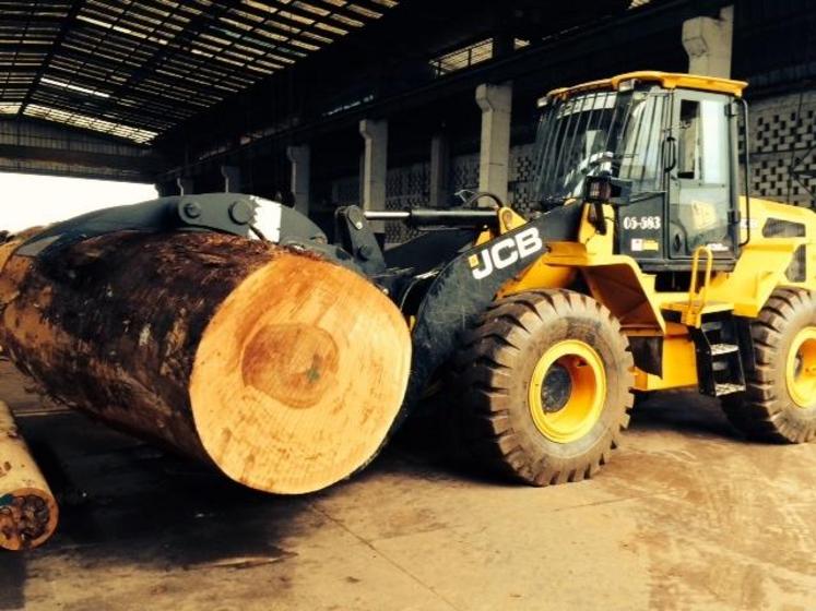 L’exportation de grumes de bois en Afrique constituerait un marché pour les pinces de Lamy.