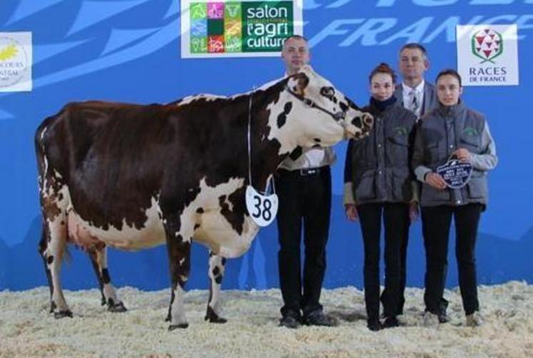 Le 22 février, à Paris. L’EARL Guéret a remporté avec sa vache Evan, le titre de meilleure mamelle adulte au concours de la race normande.