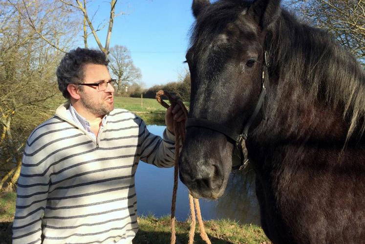 Le 12 mars, à Pas-Saint-Lhomer (Orne). Le vice-président du Syndicat des éleveurs percherons, Alain Heinry, a bien l’intention de mettre le cheval percheron au centre du prochain comice de La Loupe.