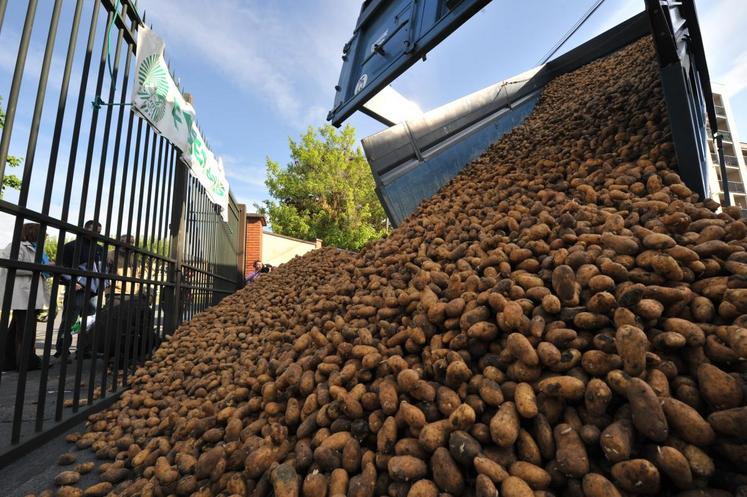 À coup de pommes de terre et d’oignons, les agriculteurs mettent la pression sur la grille de la cité administrative.