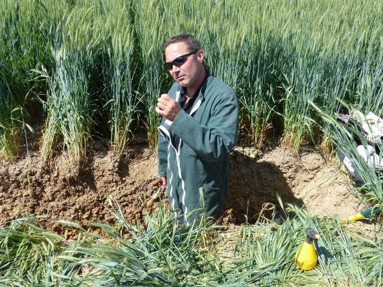 Le 27 mai, à Vallières-les-Grandes. Franck Baechler, conseiller à la chambre d’Agriculture 41, a présenté deux profils de sols, l’un en conventionnel et l’autre en semis direct.