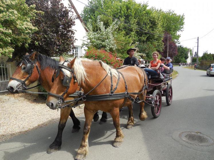 Pour ceux qui ne souhaitaient ou ne pouvaient pas marcher, l’association Chev’âne de trait du bocage proposait de suivre le circuit en calèche.