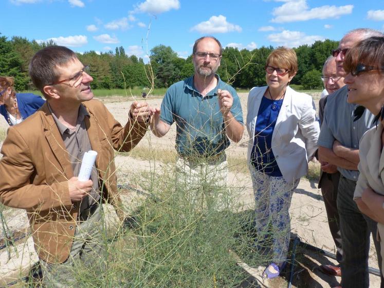 Le 23 juin, à Tour-en-Sologne. Avant la signature du Cap’filière légumes, une visite de Légumes Centre actions a été proposée.