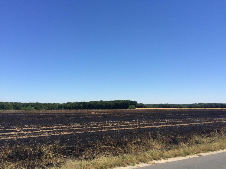 Nogent-le-Phaye (Eure-et-Loir), mardi 30 juin. Le feu a dévasté une vingtaine d’hectares dans ce champ de Nogent-le-Phaye.