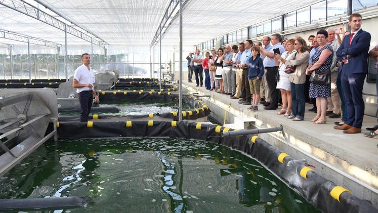 Le 9 juillet, au Gué-de-Longroi. Dominique Guérin (à d.) a expliqué les secrets de la production de la spiruline lors de l’inauguration de son site de production.