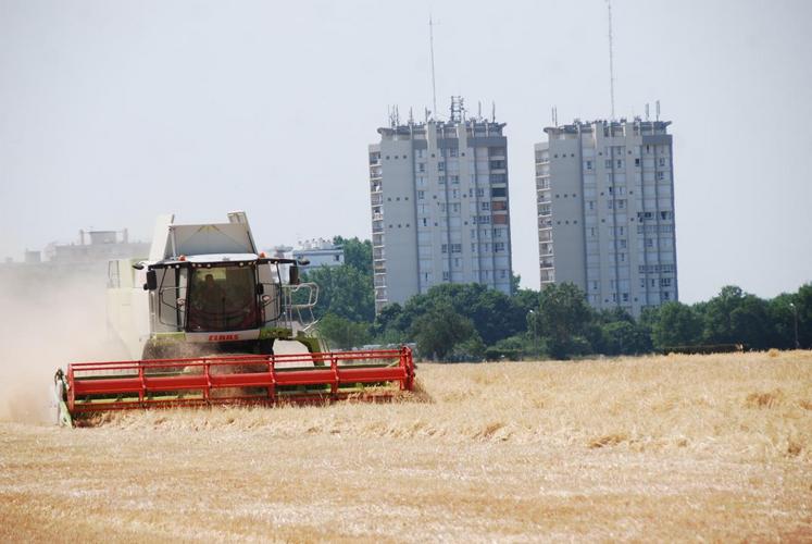 Melun (Seine-et-Marne), le 2 juillet. Avec un temps beau et sec, la moisson des orges d’hiver a démarré cette année dès la fin du mois de juin.