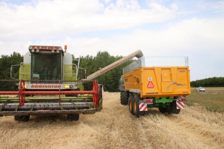 Le 16 juillet, à la Chaussée-Saint-Victor. Jeunes agriculteurs a moissonné la parcelle de « Semis solidaire ».