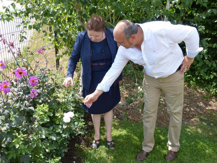 Le 3 juillet, à Chaumont-sur-Loire. Chantal Colleu-Dumond et Jean Pouillart ont baptisé au champagne la rose "Jardins de Chaumont-sur-Loire".