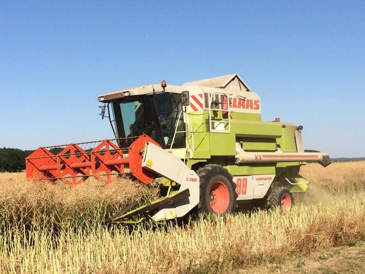 Début août la moisson s’achève en Seine-et-Marne. Seules quelques parcelles d’orge de printemps et de féveroles restent à récolter.