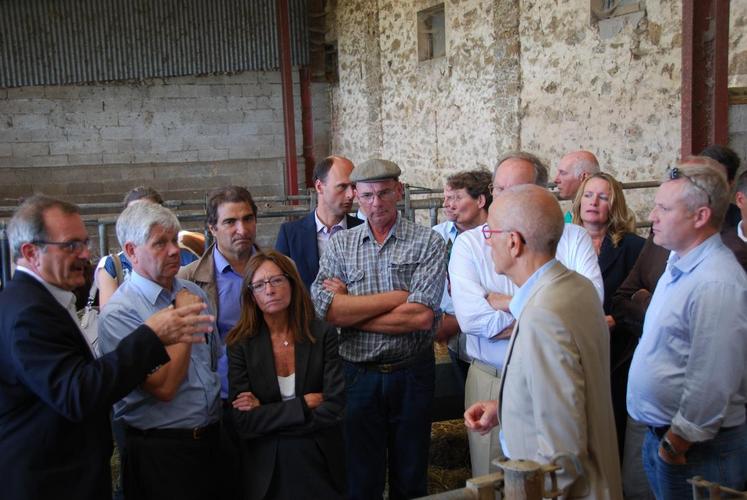 Visite des bâtiments qui accueillent les bovins laitiers.
