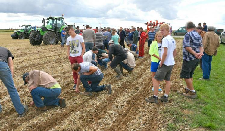 Le 1er septembre, à Pré-Saint-Évroult. La chambre d’Agriculture d’Eure-et-Loir a organisé un essais dynamique de huit strip-tiller différents.