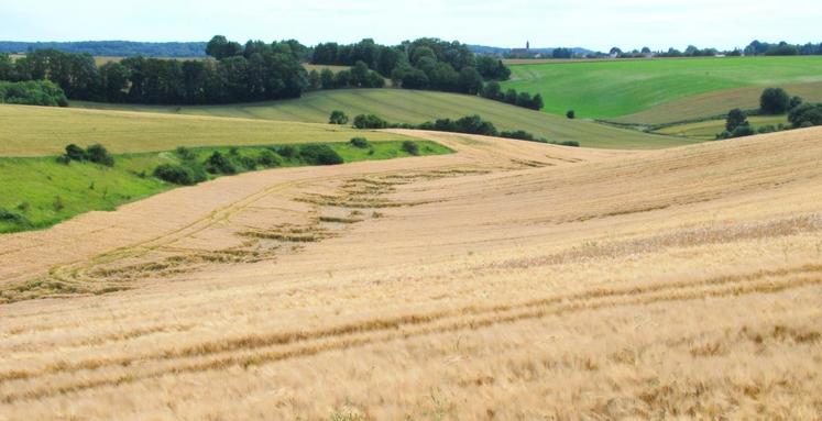 Bois et terres agricoles constituent toujours une valeur refuge. Mais il y a très peu de transactions et il est impossible de déterminer un prix moyen à l’hectare.