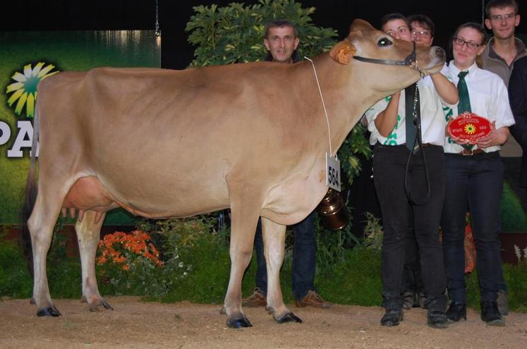 Le 18 septembre, à Rennes. Digne fille de Danaé, Izaee, la jeune jersiaise de l’EARL Hyson-Voillot, a décroché le titre de Grande championne au Space.