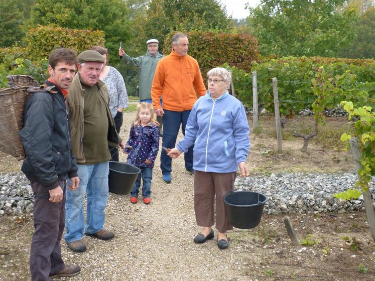 Le 10 octobre, à Onzain. Les vendanges à l’ancienne des cépages de l’AOC Touraine-Mesland ont attiré plusieurs bénévoles, munis de seaux et sécateurs.