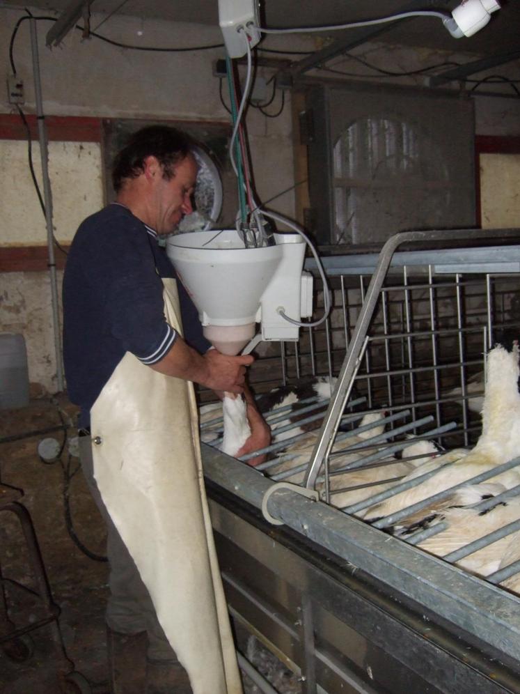 Puiselet-le-Marais (Essonne) : la ferme du Grand Clos a procédé à des démonstrations de gavage.