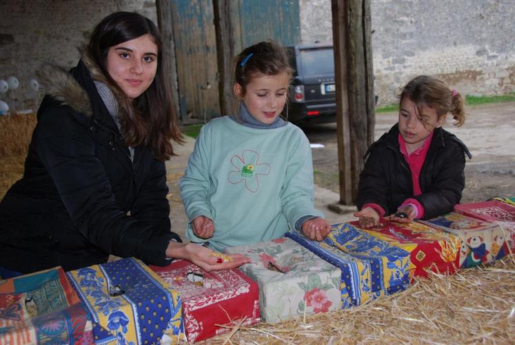 Guercheville, La ferme des Tuilles. Les enfants s’amusent à découvrir ce qui se cache dans chaque boîte : blé, colza, paille… le sens du toucher est en éveil.