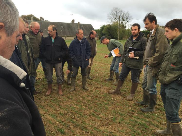 Le 4 novembre, à Saint-Marc-du-Cor. Vingt-cinq agriculteurs ont assisté à un tour de plaine d’automne dans le secteur de Droué-Modoubleau, animé par le conseiller de chambre d’Agriculture, Vincent Rigal (3e à d.)