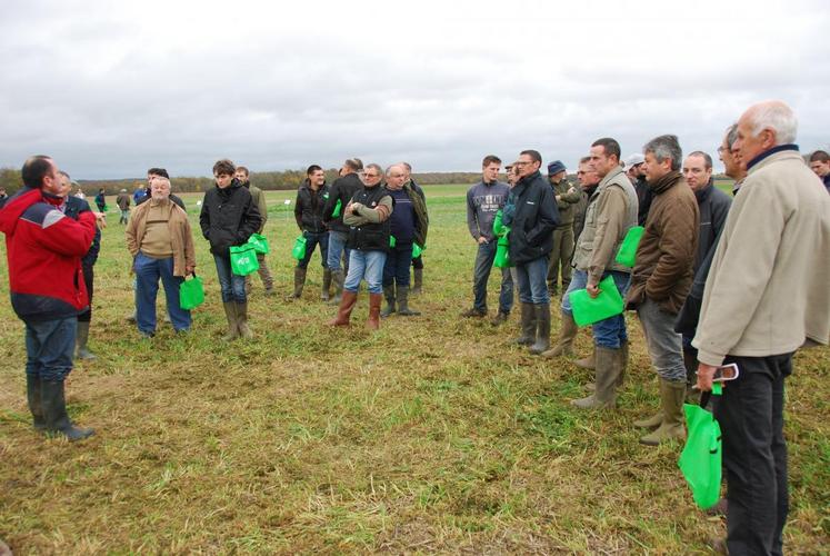 Boisdon, vendredi 6 novembre. L’après-midi sur les couverts végatux en interculture se déroulait dans le cadre de Ecophyto communication.