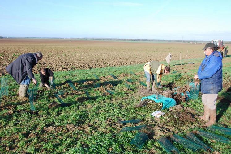 Rumont, jeudi 26 novembre. Chasseurs et agriculeurs, en présence du maire, Patrick  Prud’homme, ont implanté deux linéaires de 500 m sur le territoire communal.