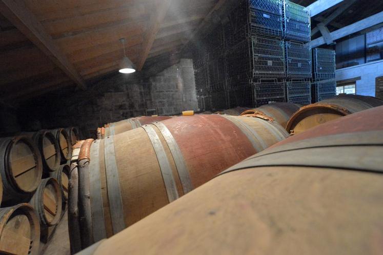 Crédits photo : Patrick Cronenberger-Réussir.
Les vins naturels peuvent être vinifiés dans des fûts en bois ou en cuves.