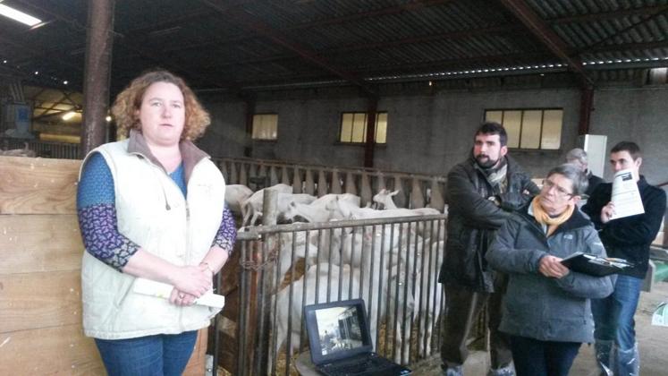 Saint-Christophe-en-Bazelle (Indre), le 3 décembre. Séverine Van Hasselaar présente son exploitation. 