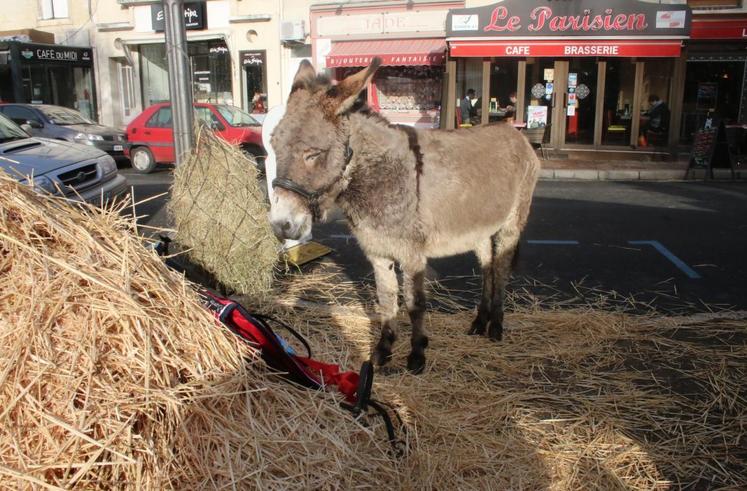 Vendôme, le 18 décembre. Marché de Noël à la ferme de Jeunes agriculteurs et marché de producteurs locaux ont satisfait les grands et les petits.