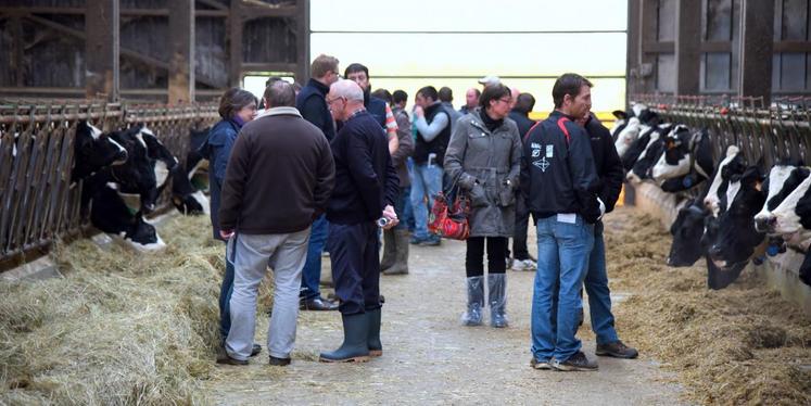 Le 15 décembre, à Chassant. Les éleveurs prim’holstein se sont retrouvés au Gaec du Grenouillet pour la Journée organisée par le syndicat d’Eure-et-Loir de la race.