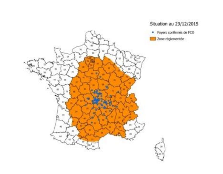 Après la découverte de nouveaux cas de fièvre catarrhale ovine, la zone réglementée a de nouveau évolué.