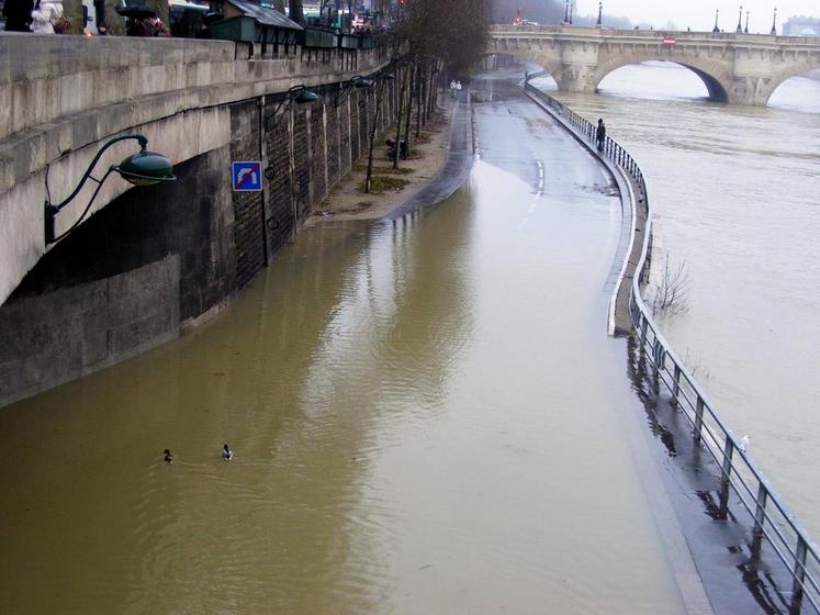 Une simulation de crue centennale de la Seine est organisée en Ile-de-France jusqu’au 18 mars.