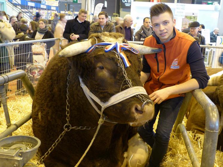 Le 2 mars, à Paris. Fêtard, le taureau de la famille Jaffré préparé par Antoine a battu le record du monde avec un poids de 1 950 kg.