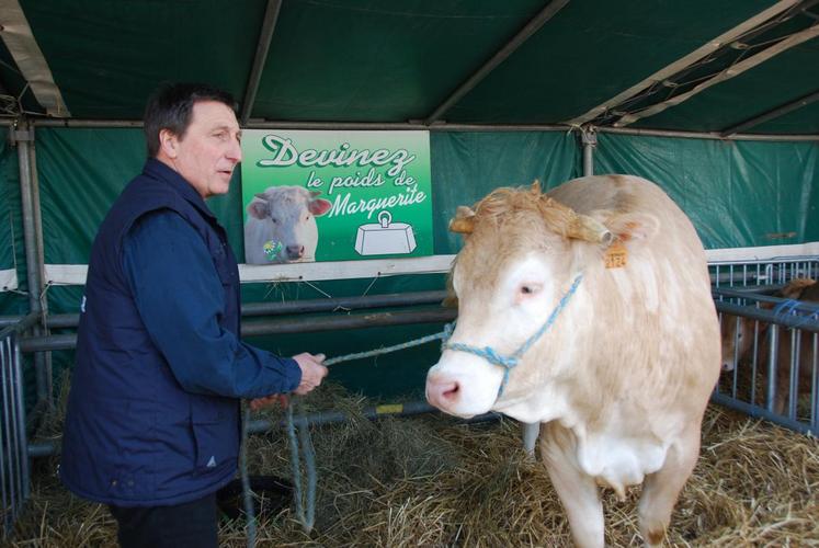 Philippe Dufour, président du GRDS, avec une vache Blonde d’Aquitaine issue de son élevage. Les visiteurs devaient trouver le poids de cette bête surnommée 