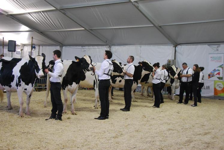 Tout au long de l’après-midi, les animaux ont défilé sur le ring guidés par leur éleveur.