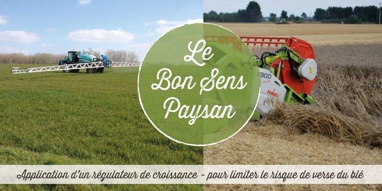 Les agriculteurs engagés dans la démarche « Le Bon sens paysan » vont se former aux techniques de communication. 