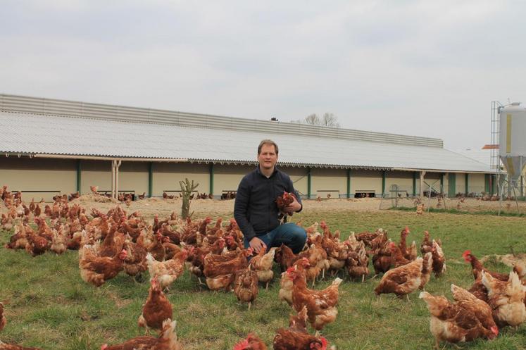 Mouroux, jeudi 24 mars. Stéphane Darche au milieu de son élevage de poules pondeuses de plein air dont la production est proposée sur le site Internet du drive fermier.